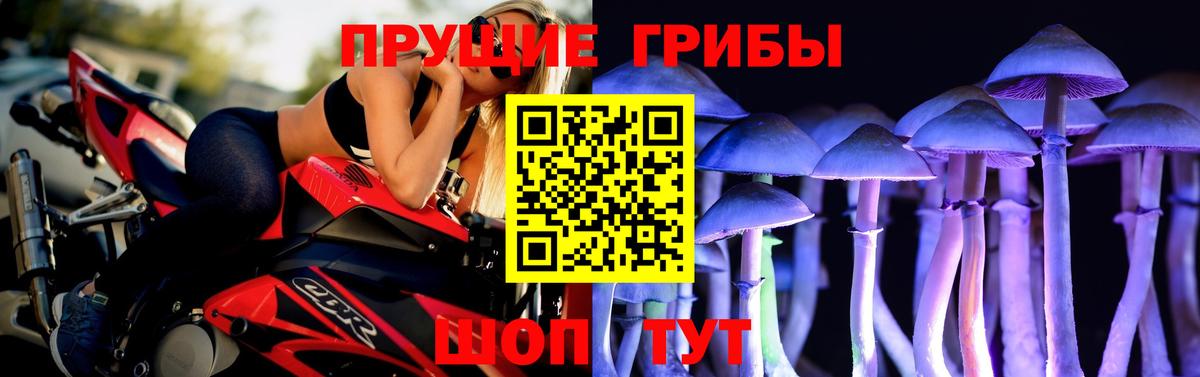 Камышлов  Галлюциногенные грибы мухоморы  Вход с VPN 