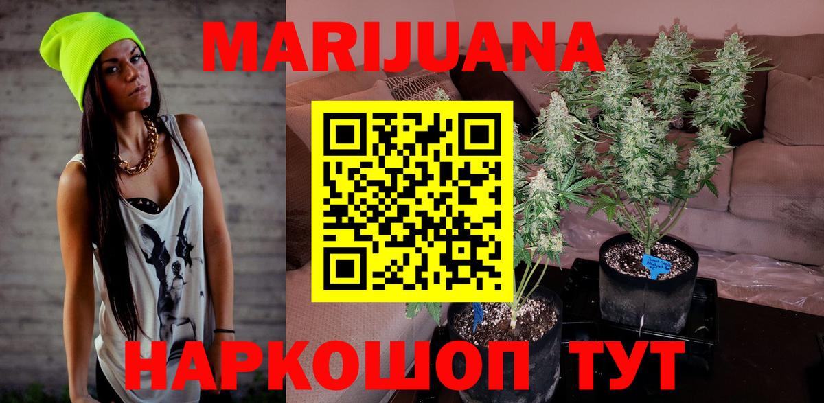 Бошки Шишки White Widow  Бошки Шишки Ganja  МАРИХУАНА тримм  Бошки марихуана сатива  Вход с VPN  Камышлов 